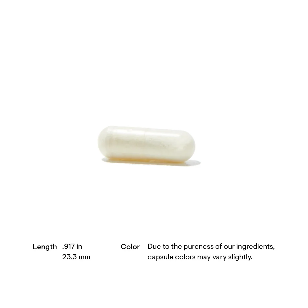 Thorne Digestive Enzymes